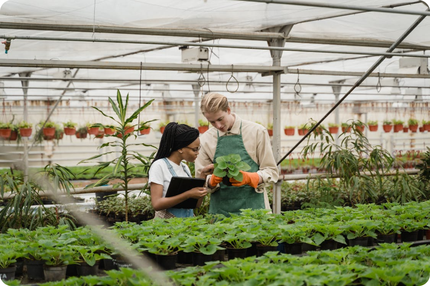 Agricultores colaborando con tecnología